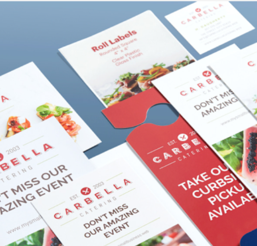 Premium printed sample kit with brochures, cards, and branded collateral